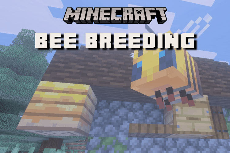 How to Breed Bees in Minecraft & Start a Honey Farm
