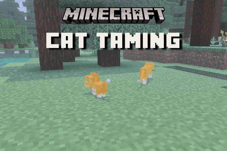 How to Tame a Stray Cat in Minecraft Easily