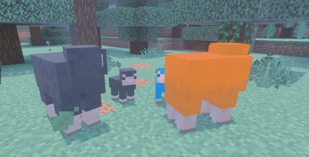 Image from post content