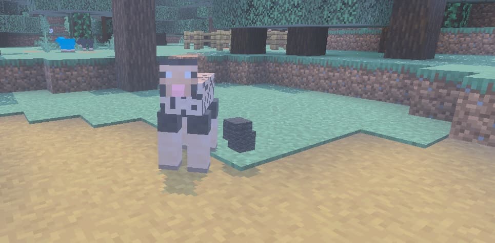Image from post content