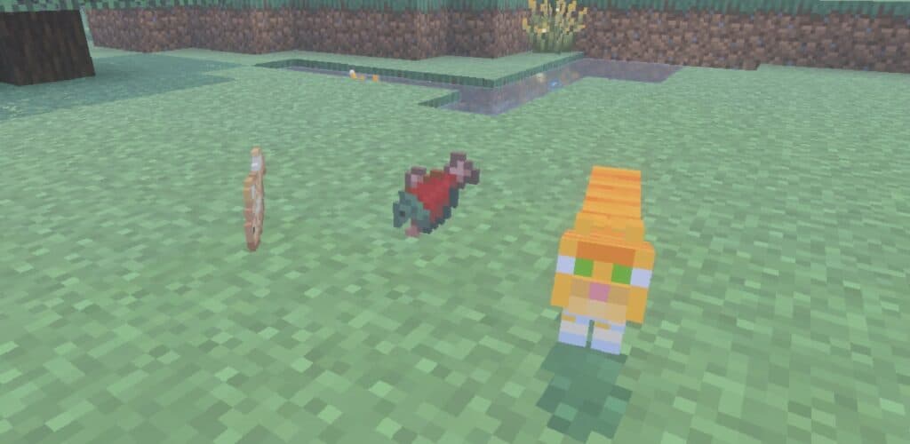 Image from post content