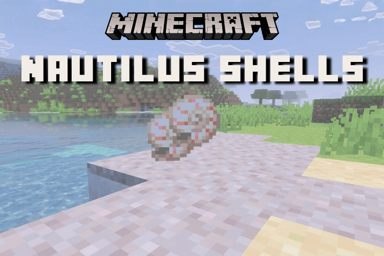 How to Get a Nautilus Shell in Minecraft