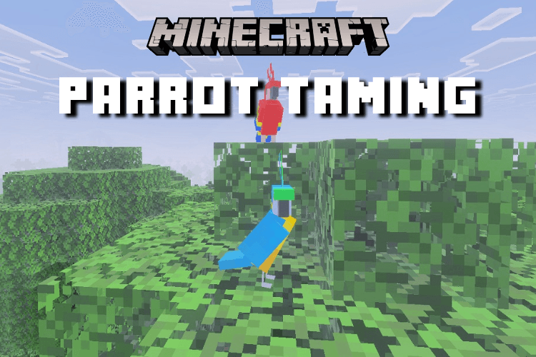 How to Tame a Parrot in Minecraft (Don’t Use Cookies!)