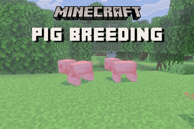 How to Breed Pigs in Minecraft: Everything to Know