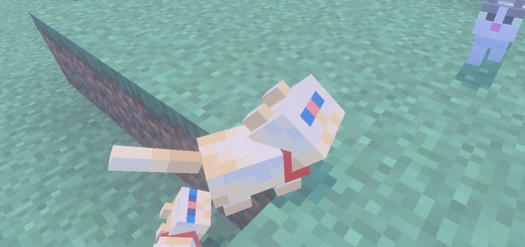 Image from post content