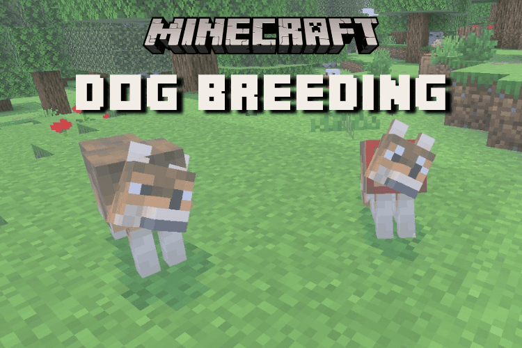 How to Breed Dogs in Minecraft: Grow Your Pack