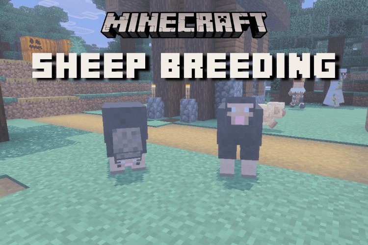 How to Breed Sheep in Minecraft: Infinite Wool Guide
