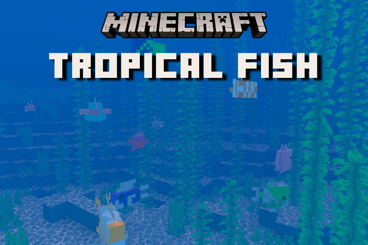 Minecraft Tropical Fish Breeding: Is it Possible?