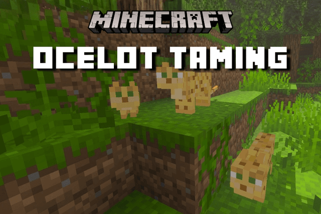 How To Tame Ocelots In Minecraft And Win Their Trust Minerank Blog how-to-tame-ocelots-in-minecraft-and-win-their-trust-minerank-blog